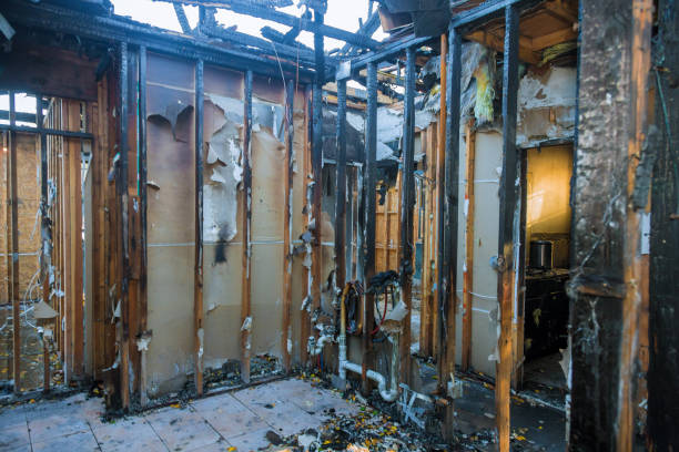 Professional Soot Cleanup technician working in Newtown, OH